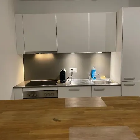 Spacieux Studio Proche Lausanne * Crissier